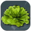 Palworld - Lettuce Plantation
