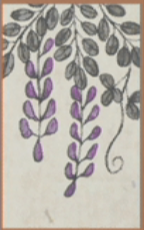 April - Wisteria - 1 Point 1