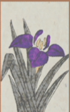 May - Iris - 1 Point 2