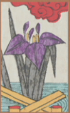 May - Iris - 10 Points