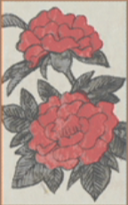 June - Peony - 1 Point 2