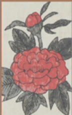 June - Peony - 1 Point 1