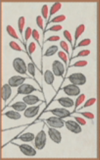 July - Bush Clover - 1 Point 1