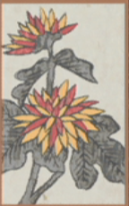 September - Chrysanthemum - 1 Point 1