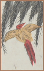 November - Willow - 10 Points