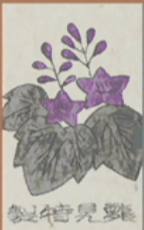 December - Paulownia - 1 Point 1