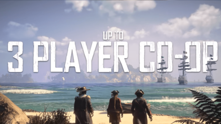 Skull and Bones - Multiplayer Up to 3 Players Co-op