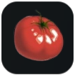 Palworld - Tomato