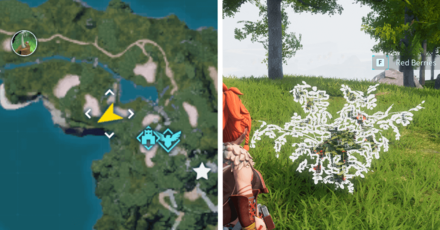 Palworld - Red Berries Location