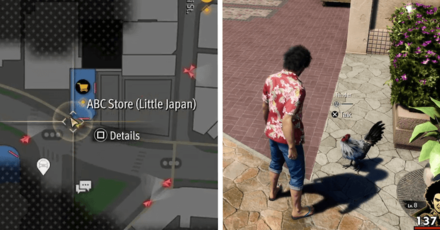 Tender Location Aloha Links