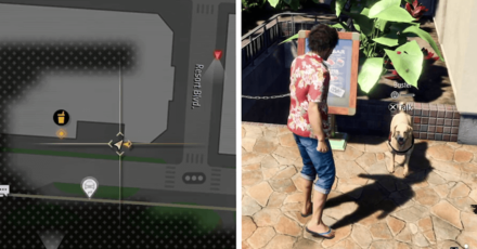 Buster Location Aloha Links