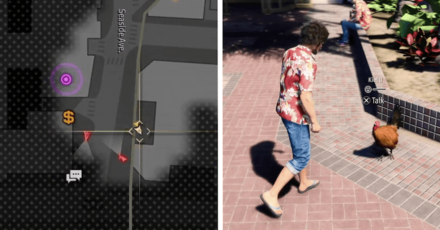 Kiel II Location Aloha Links