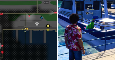 Mrs. Q Location Aloha Links