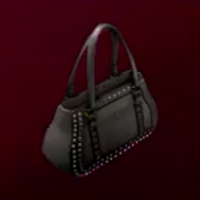 Rock Star Bag