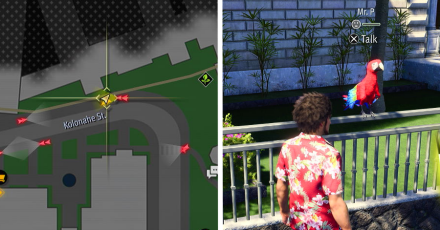 Mr.P  Location Aloha Links