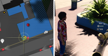 Max Location Aloha Links