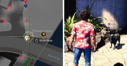 Noir Location Aloha Links