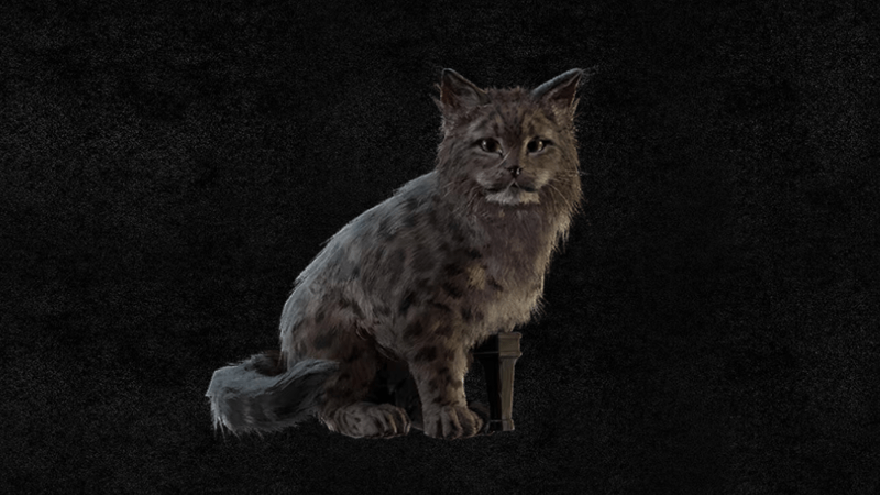 Skull and Bones - Snow Leopard