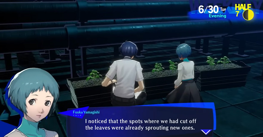 Persona 3 Reload - Grow Consumable Vegetables