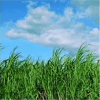 Vocational School Question Image