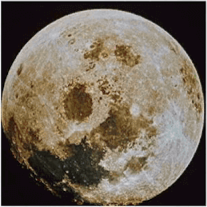 Vocational School Question Image