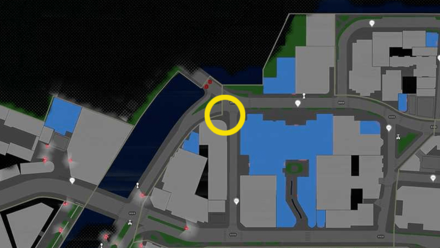 Close Encounters of the Bird Kind?