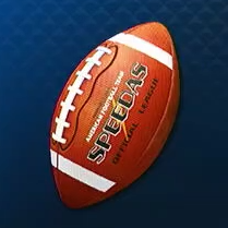 Commemorative Football