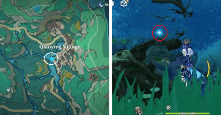 Genshin - Spirit Carp 5