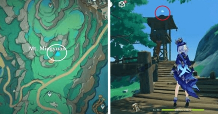 Genshin - Spirit Carp 21