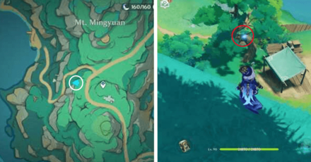 Genshin - Spirit Carp 22