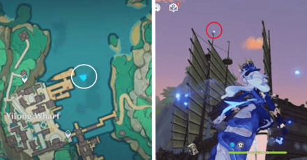 Genshin - Spirit Carp 17