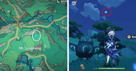 Genshin - Spirit Carp 11