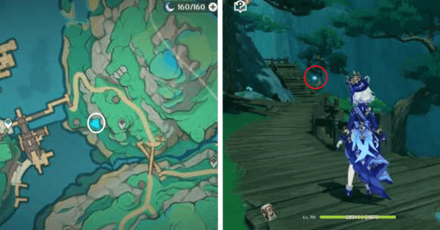 Genshin - Spirit Carp 14