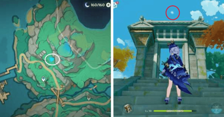 Genshin - Spirit Carp 15