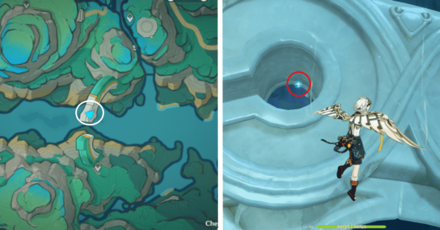 Genshin - Spirit Carp 25