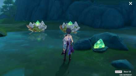 Genshin Impact - Jadestone Turtles