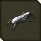 LAD IW - Silver Locust