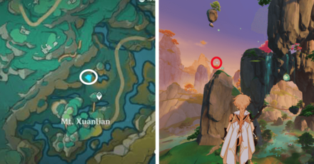 Genshin - Spirit Carp 29