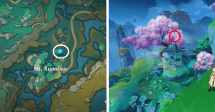 Genshin - Spirit Carp 30