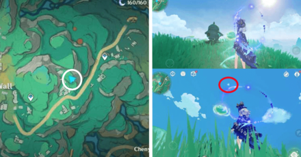 Genshin - Spirit Carp 38