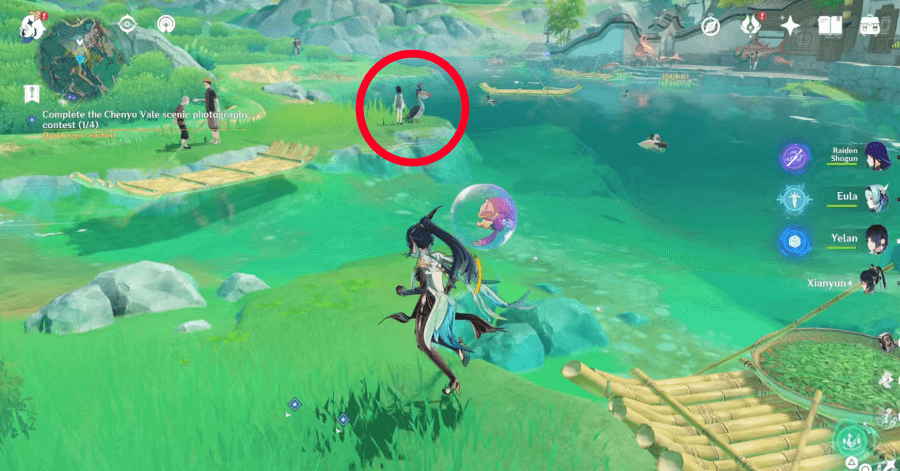 Genshin - Talk to the Girl Next to a Pelican