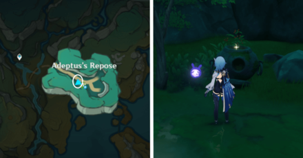 Genshin - Knocking | Hit Vase 6