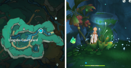 Genshin - Knocking | Hit Vase 30