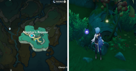 Genshin - Knocking | Hit Vase 7