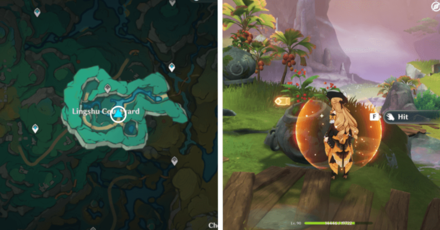 Genshin - Knocking | Hit Vase 34