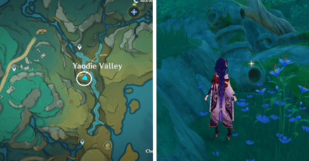 Genshin - Knocking | Hit Vase 25