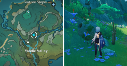 Genshin - Knocking | Hit Vase 15