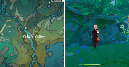 Genshin - Knocking | Hit Vase 20