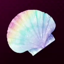 Beautiful Seashell