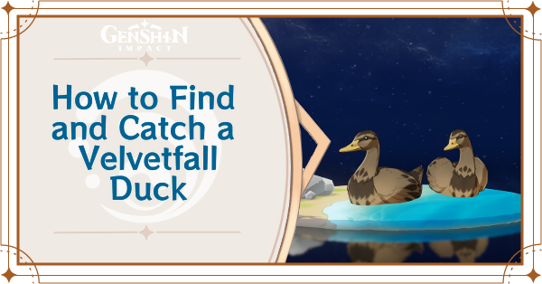 Genshin Impact - How to Find and Catch a Velvetfall Duck
